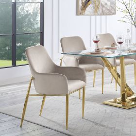 Barnard Side Chair (Set-2) in Gray Velvet &amp; Mirrored Gold Finish DN00220